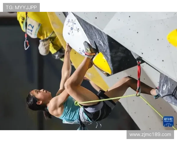 上海攀岩队在世界锦标赛中的团队协作表现分析与点评