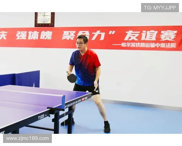 乒乓球专题：深入探讨杭州乒乓球队的团队协作与默契配合之道
