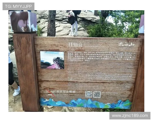 LNG的奋斗历程与成就揭秘：从默默无闻到电竞顶尖团队的崛起之路