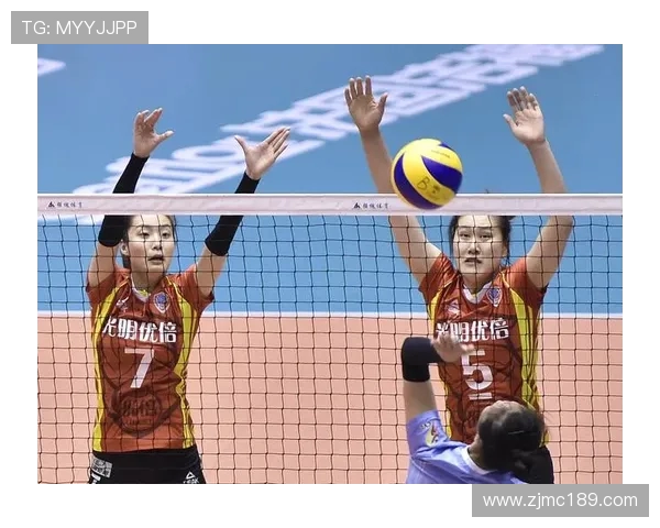 深入探讨上海排球队在各项赛事中的实力表现与发展趋势分析