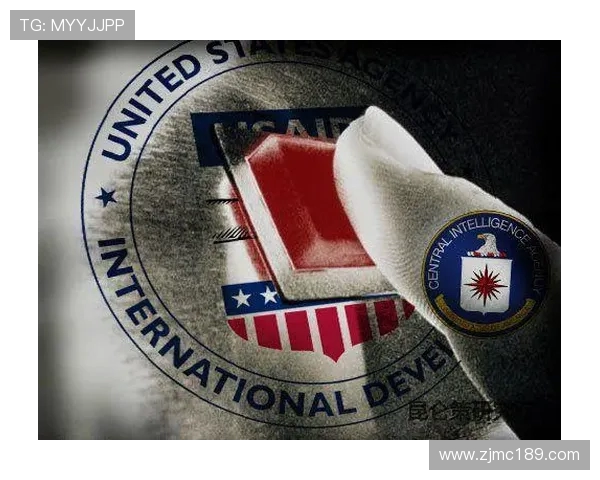 聚焦和平精英EDG状态分析与未来发展探讨