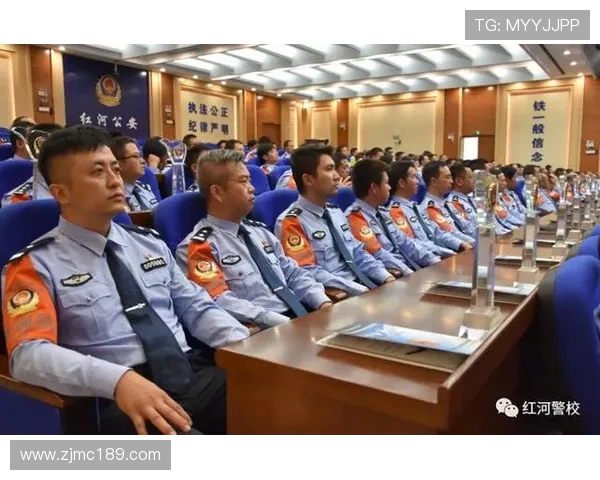 磊4vs20视频精彩回顾与分析让你领略对决的魅力与策略