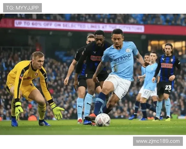 雷丁与西布罗姆对决前瞻分析及比赛预测展望