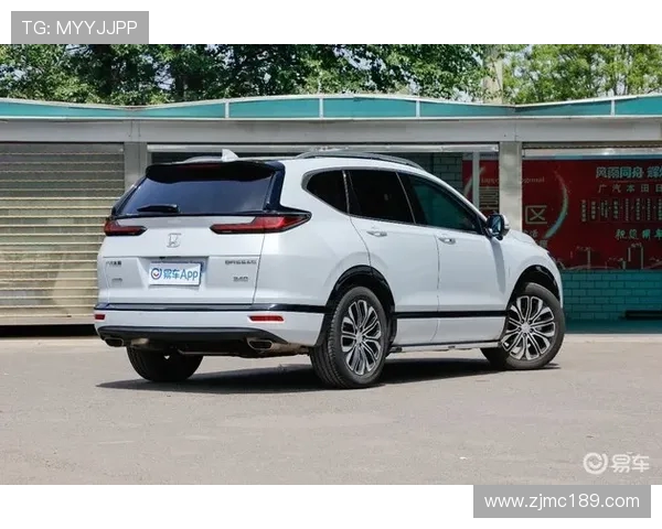 张敏专访揭秘英雄联盟成功背后的策略与故事