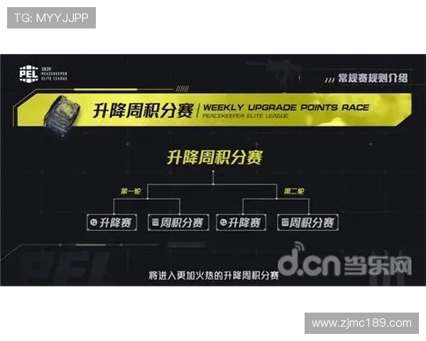 深度分析LNG战队的防守策略与战术布局探讨