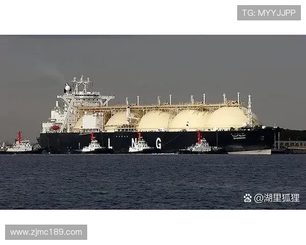 LNG在世界冠军杯中的灵活应对策略与表现分析 LNG在世界冠军杯中的灵活应对策略与表现分析