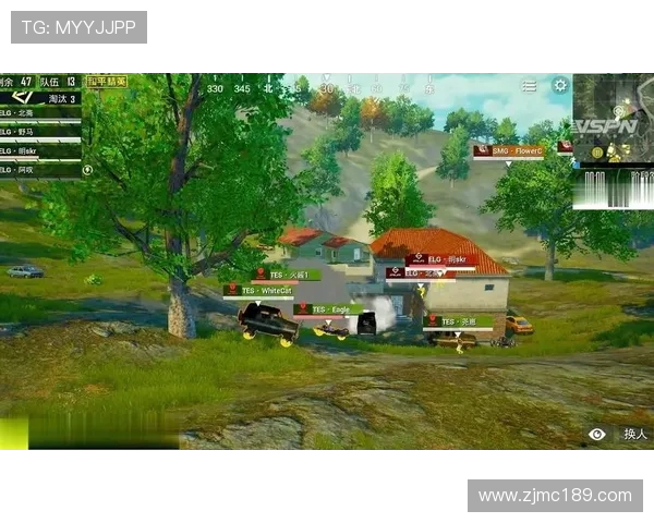 和平精英热点分析：TES战队转型背后的策略与挑战解读