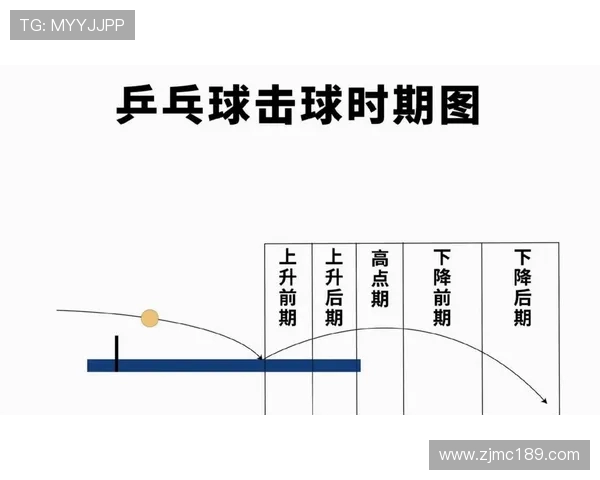 杭州乒乓球队在锦标赛中的战术运用与表现分析